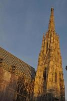 Catedral de Santo Estêvão em Viena foto