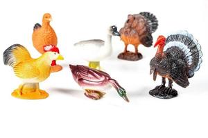 aviário com galinhas, perus, patos e gansos. conceito de brinquedos infantis
