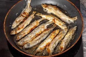 frigideira com peixe capelim frito no fogão foto