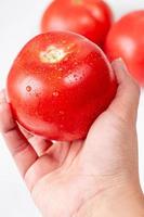 close-up, tomate vermelho fresco na mão de uma mulher foto