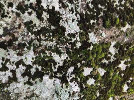 fundo de rocha de montanha. textura de rocha. pano de fundo de pedra foto