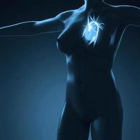 anatomia científica do corpo humano com coração de brilho foto