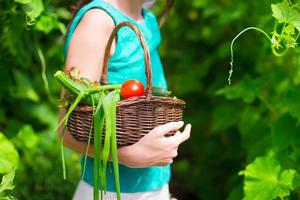 cesta de close-up de colheita nas mãos da mulher foto
