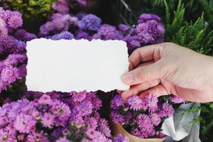 papel de nota em branco na mão sobre fundo de buquê de flores margaret roxo lindo, cópia-espaço no cartão para colocar sua mensagem.