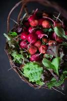 cesta de mercado de agricultores de frutas e vegetais frescos
