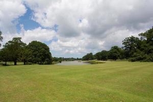 bela vista de um campo verde brilhante com um pequeno lago entre árvores, com fundo de céu nublado foto