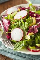 salada de ervas caseira saudável