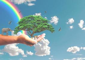 o conceito de salvar o mundo, protegendo o meio ambiente. árvore na mão para mudar foto