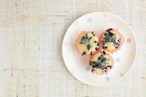 muffins de blueberry caseiros no suporte de cupcake de papel foto