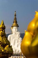 lótus de buda de ouro branco foto