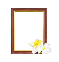 moldura vintage com flor de plumeria foto