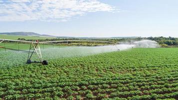 sistema de irrigação agrícola em dia ensolarado de verão. uma vista aérea de um sistema de sprinklers de pivô central.