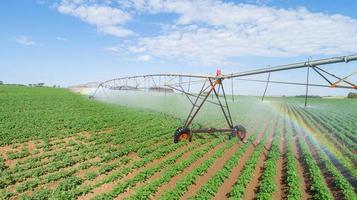 sistema de irrigação agrícola em dia ensolarado de verão. uma vista aérea de um sistema de sprinklers de pivô central. foto