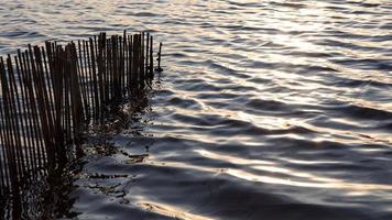 paredes de bambu com ondas de luz. foto