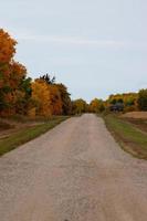 estrada rural nas pradarias canadenses no outono. foto