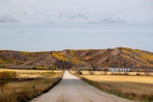 estrada rural nas pradarias canadenses no outono. foto