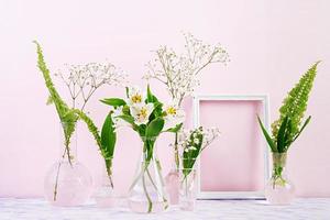 flores e plantas em frasco com moldura. fundo de linda primavera com flores em vaso.