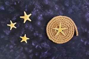 corda e estrela do mar em fundo escuro. vista do topo