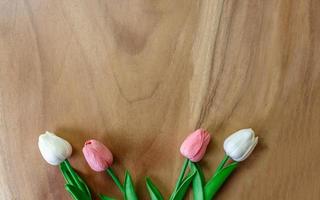 flor de tulipa em fundo de madeira foto