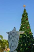 fundo do céu azul da árvore de natal foto