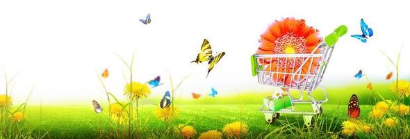 mini carrinho de compras com flores coloridas e borboletas. foto