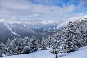 paisagem de árvores e montanhas de neve do inverno