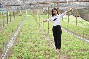 mulher asiática vestindo camisa branca feliz na horta foto
