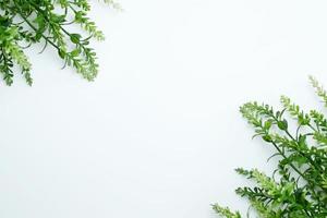 composição de flores. padrão feito de folhas frescas em um fundo branco. configuração plana, vista superior, espaço de cópia foto