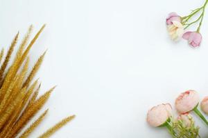 flores de grama de trigo secas e botões de flores em uma vista superior de fundo branco deitado. flores tropicais. feriados, dia da mulher, cartões de flores, postura plana, espaço de cópia. bandeira foto