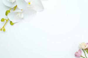 orquídea branca e botões de flores em uma vista superior de fundo branco deitado. flores tropicais. feriados, dia da mulher, cartões de flores, postura plana, espaço de cópia. bandeira foto