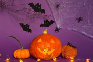 fundos de halloween de abóbora natural jack lanterna, aranhas e morcegos pretos em um fundo roxo com cenário terrível. horror e um feriado assustador com espaço de cópia foto