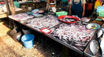 mercado de peixe em krabi, frutos do mar crus em um mercado perto do mar tropical foto