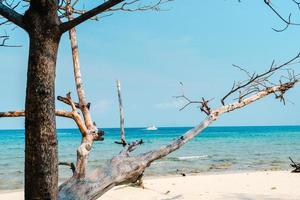 praia em uma ilha tropical à tarde foto