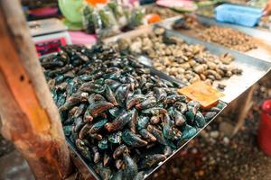 mercado de peixe em krabi, frutos do mar crus em um mercado perto do mar tropical foto