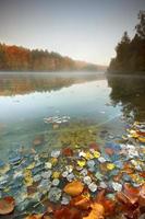 lago de outono. foto
