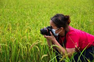 um sênior asiático usa jeans, camiseta vermelha, máscara e segura câmera digital para fotografar as orelhas de arroz no arrozal verde alegremente. foco suave e seletivo, vida feliz após o conceito de aposentadoria precoce. foto