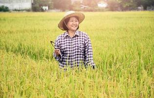 paisagem de arrozal que tem agricultor sênior asiático segurando a foice de colheita na mão e sorrindo no meio do arrozal, foco suave e seletivo, conceito de agricultura sênior asiático. foto