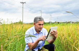 homem sênior asiático usa camisa branca e jeans sentado no meio do arrozal e levando smartphone ou taplet para tirar fotos e usar a rede social para compartilhar sua vida diária.