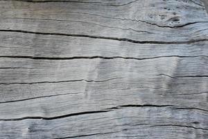 a superfície frontal do hemisfério da madeira foi exposta ao sol e desgastada para causar mofo na madeira. foto