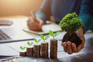 mão de mulher de negócios segurando a árvore com planta crescendo em moedas. conceito economizando dinheiro e dia da terra foto