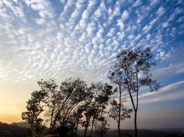 nascer do sol nublado com árvores foto