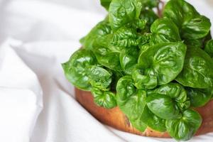 vegetal de agrião nasturtium officinale em fundo branco. foto