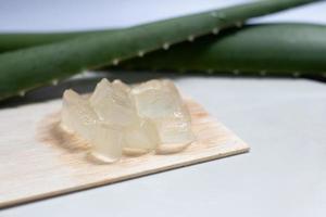 gel de aloe vera na placa de madeira e fundo branco, planta cosmética da pele, tratamento antibiótico tópico. foto