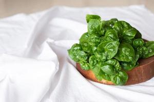 vegetal de agrião nasturtium officinale em fundo branco. foto