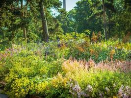 projeto paisagístico, belo parque com flores e coníferas, kotka, parque isopuisto, finlândia. foto