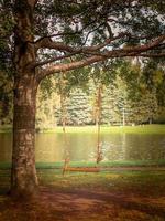 balanço caseiro de uma prancha e corda em uma árvore em um parque ou jardim, ninguém, espaço vazio, fundo de outono foto