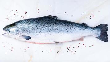 peixe salmão grande cru fresco inteiro