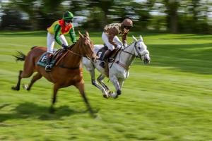 godstone, surrey, reino unido, 2009. corrida ponto a ponto foto