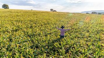 liberdade homem agricultor brasileiro fique na fazenda verde com gratidão. foto