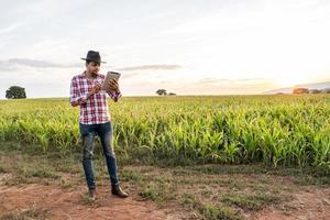 agrônomo segura o tablet touch pad no campo de milho e examina as colheitas antes da colheita. conceito de agronegócio. fazenda brasileira. foto